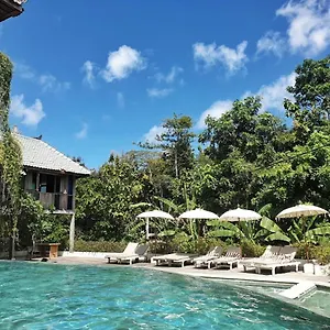 住宿加早餐酒店 巴厘岛宾艮海滩波希住宿加早餐旅馆