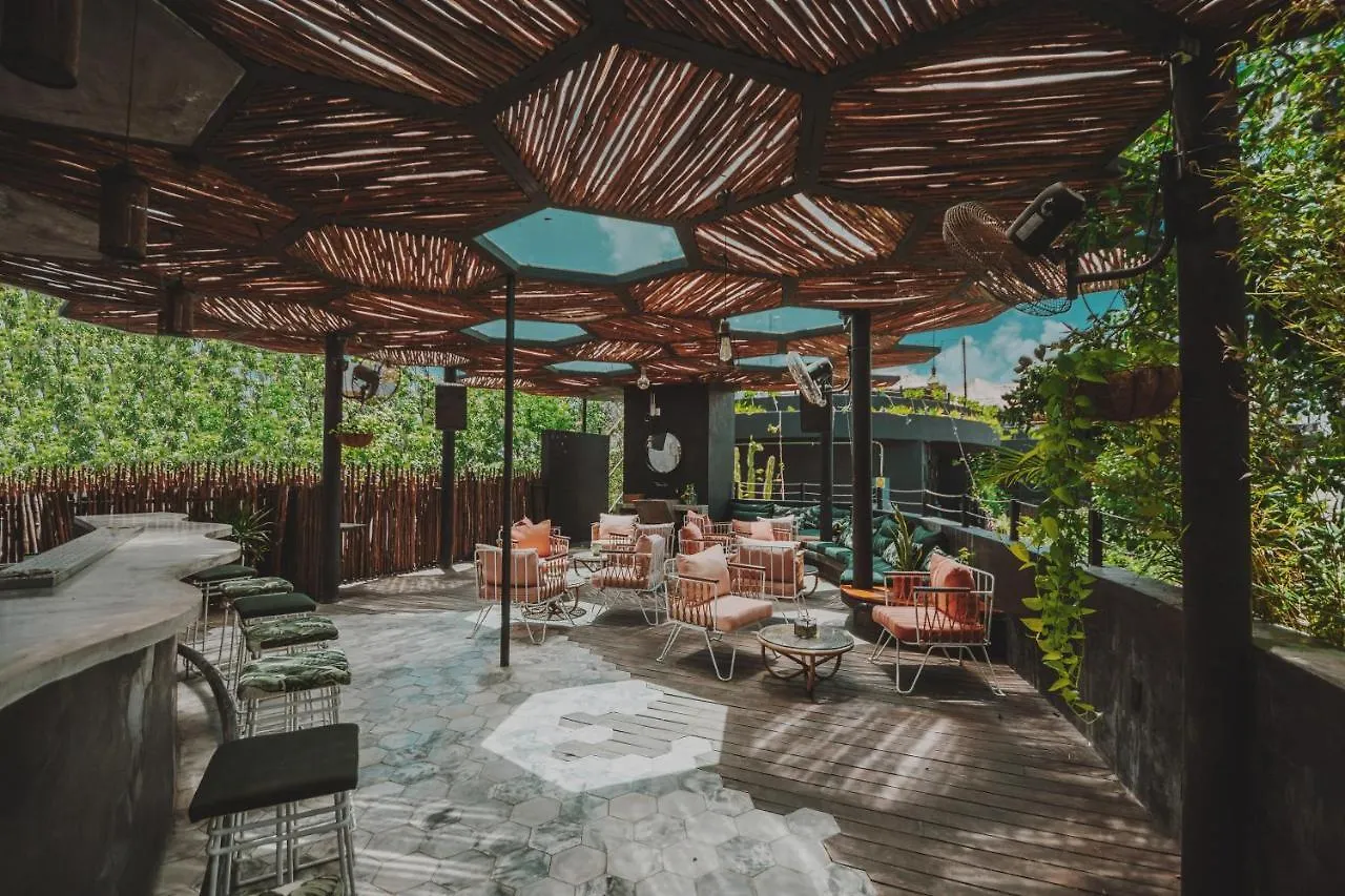 Maka Hotel Boutique 图卢姆