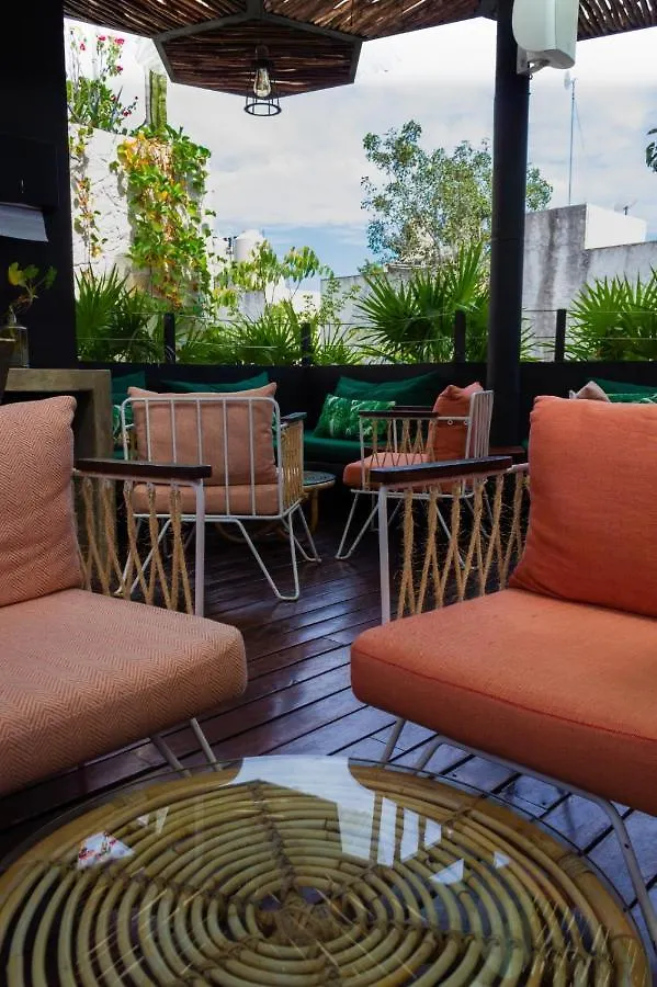Maka Hotel Boutique 图卢姆