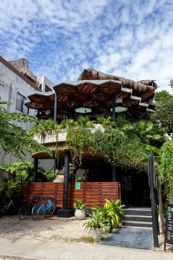 Maka Hotel Boutique 图卢姆 墨西哥