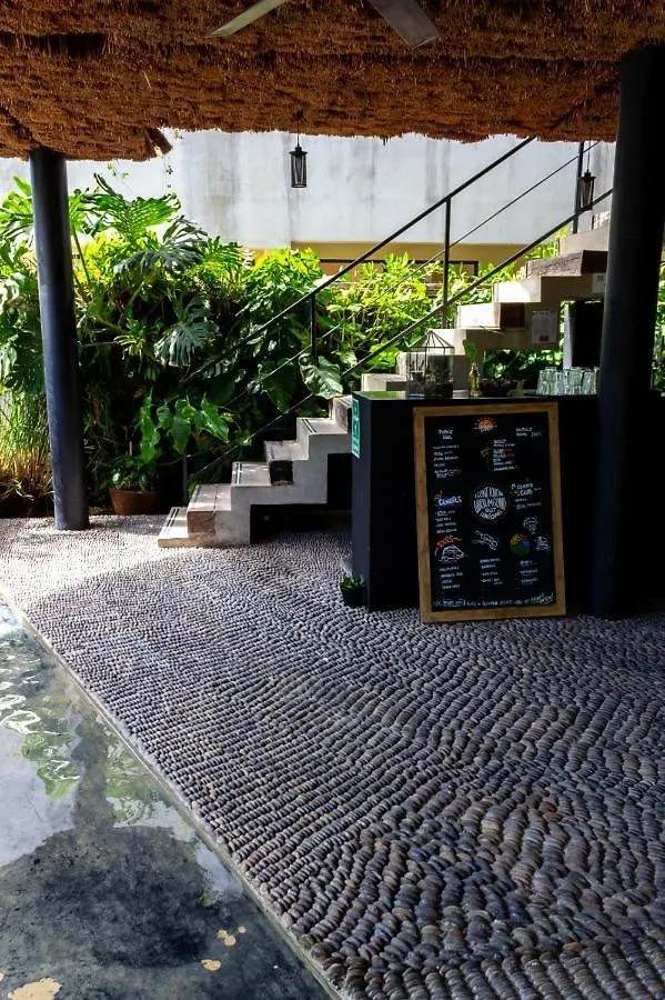 Maka Hotel Boutique 图卢姆