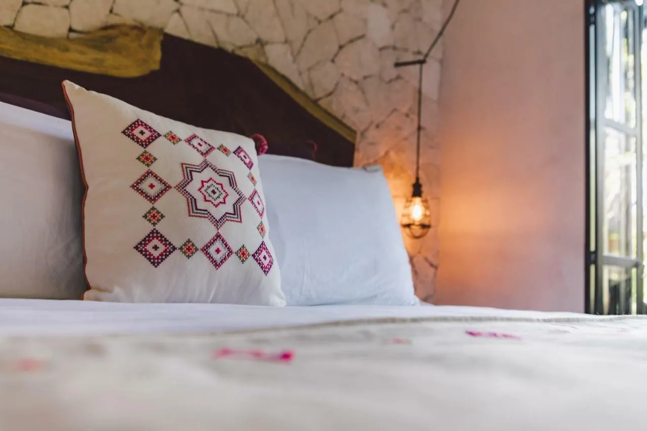 Maka Hotel Boutique 图卢姆